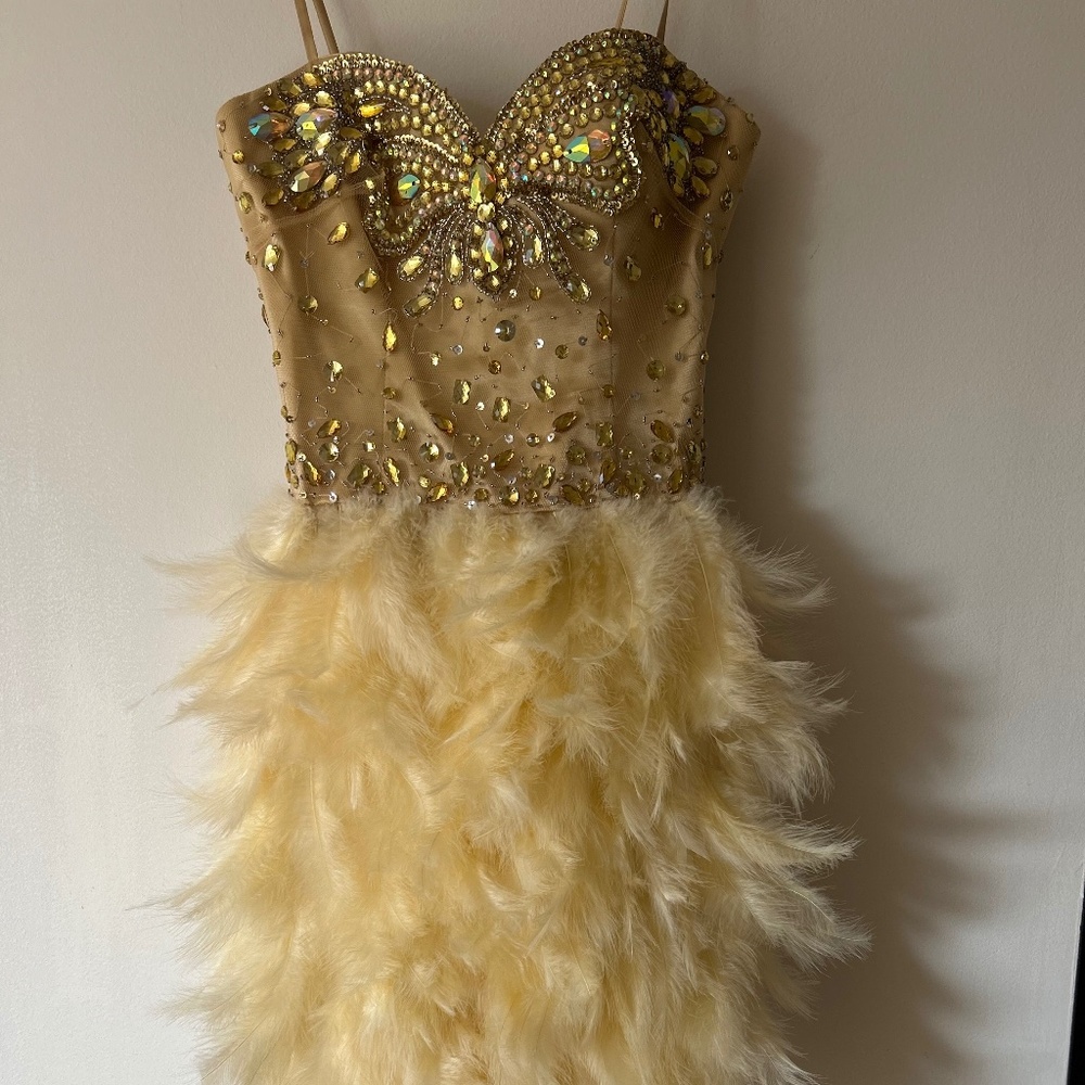 Party dress